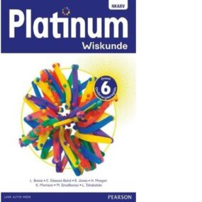 Platinum Wiskunde Graad 6 TG (9780636137271)