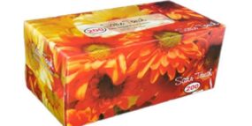 Satin Touch 2 Ply Facial Tissue 200's