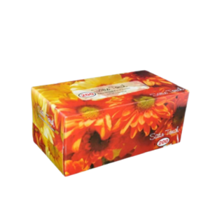 Satin Touch 2 Ply Facial Tissue 200's