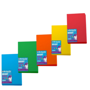 2* A4 Bright Paper 80gsm 100's Assorted Colours (Each)