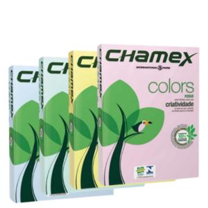 5* A4 Pastel 80g 100's Assorted Colours (Each)