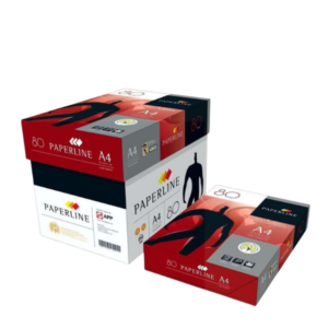 Paperline A4 Copy Paper 80gsm (5 x 500) Box